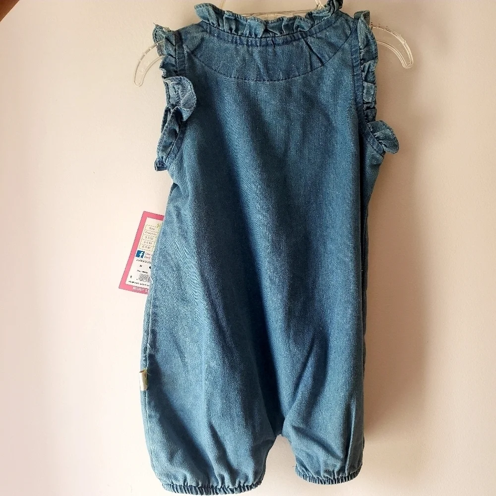 NWT Duck Duck Goose Chambrey Baby Infant Outfit 6m